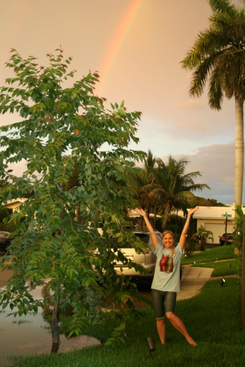 Rainbow Eucalyptus south Florida